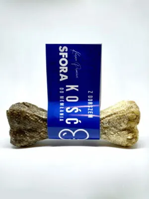 Dorsz M PhotoRoom Dorsz M PhotoRoom