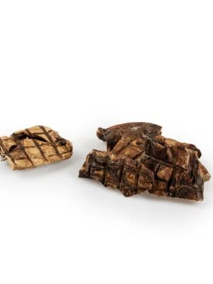 pluca wolowe kosta pluca wolowe kosta