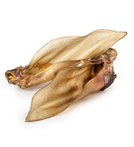 ucho jelenia ucho jelenia