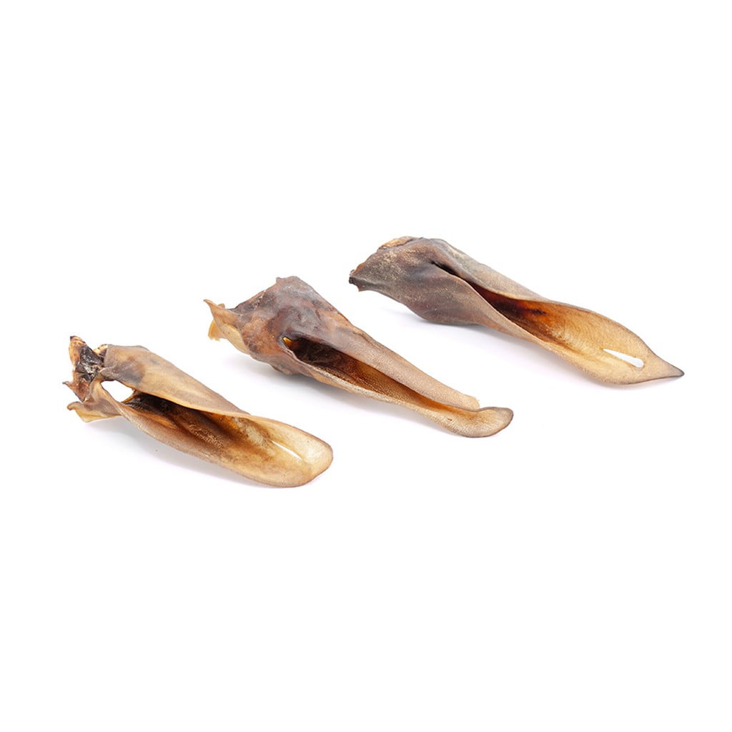 Ucho końskie 1 szt 5 ucho konskie