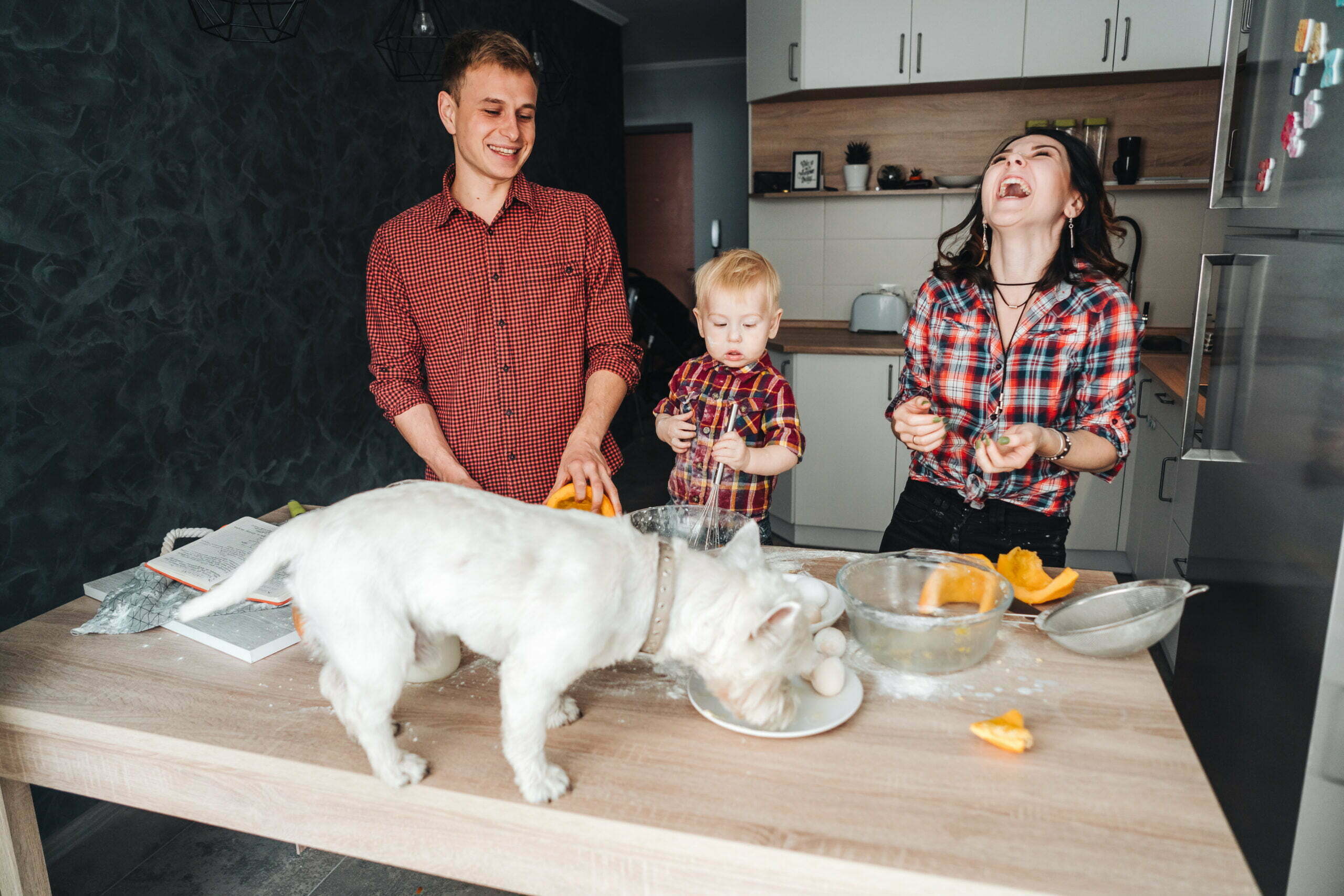 dog on the kitchen table happy family in the kitc 2022 02 02 03 49 45 utc