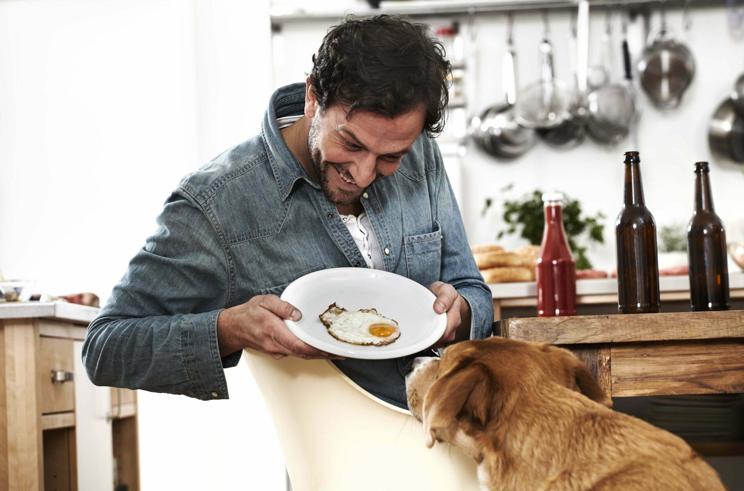 man showing plate with fried egg to dog 2022 12 16 22 27 48 utc