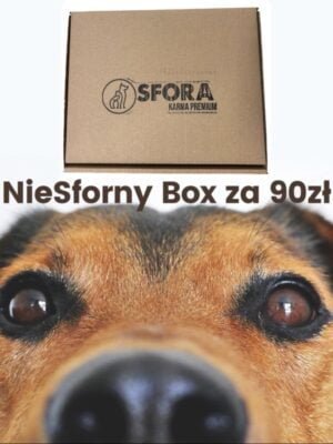 niesforny box