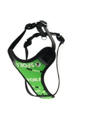 zabudowane zielone 2