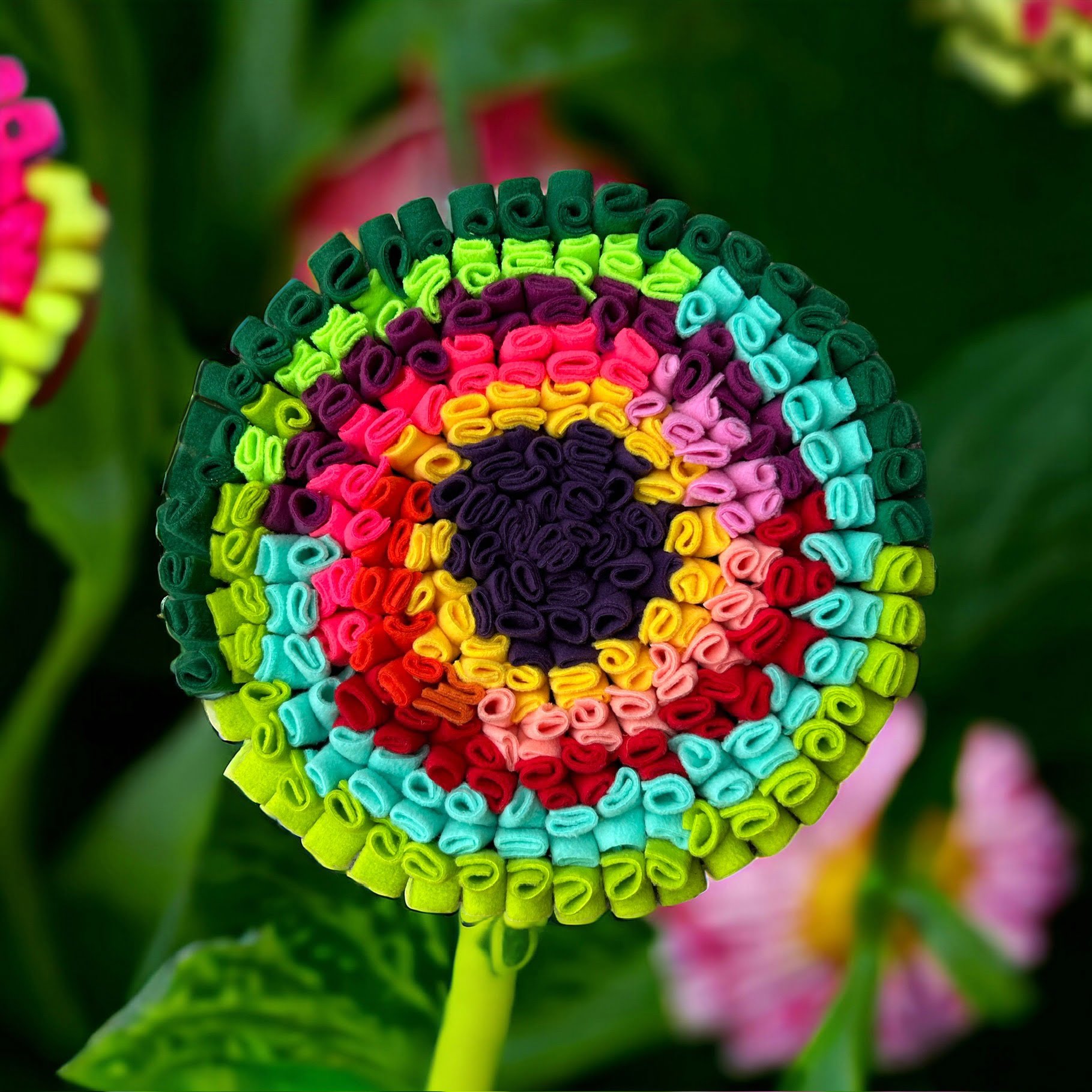 Mata węchowa - kwiatek ślimaczek 2 Photoroom 20240229 151935