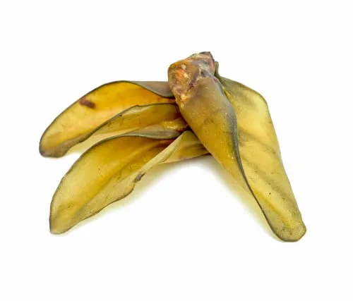 ucho cielece ucho cielece