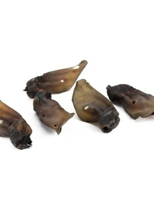 ucho wolowe naturalne