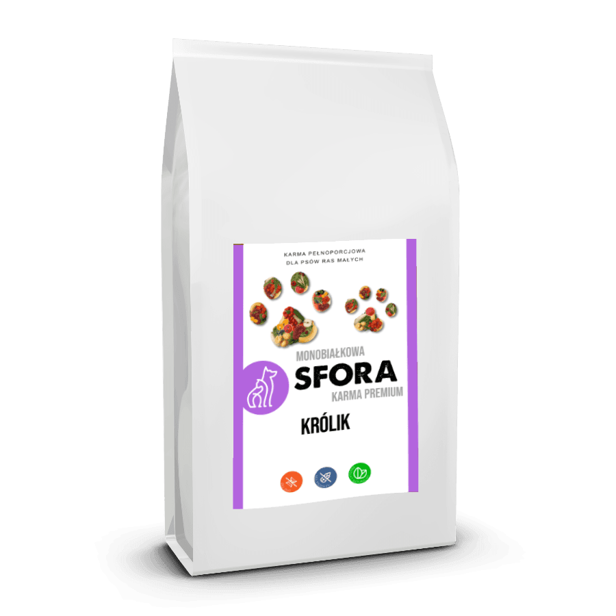 sfora paczka krolik transparent