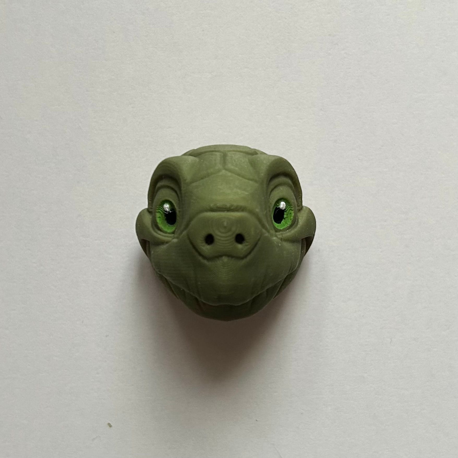 Magnes żółw forest 7 IMG 8108