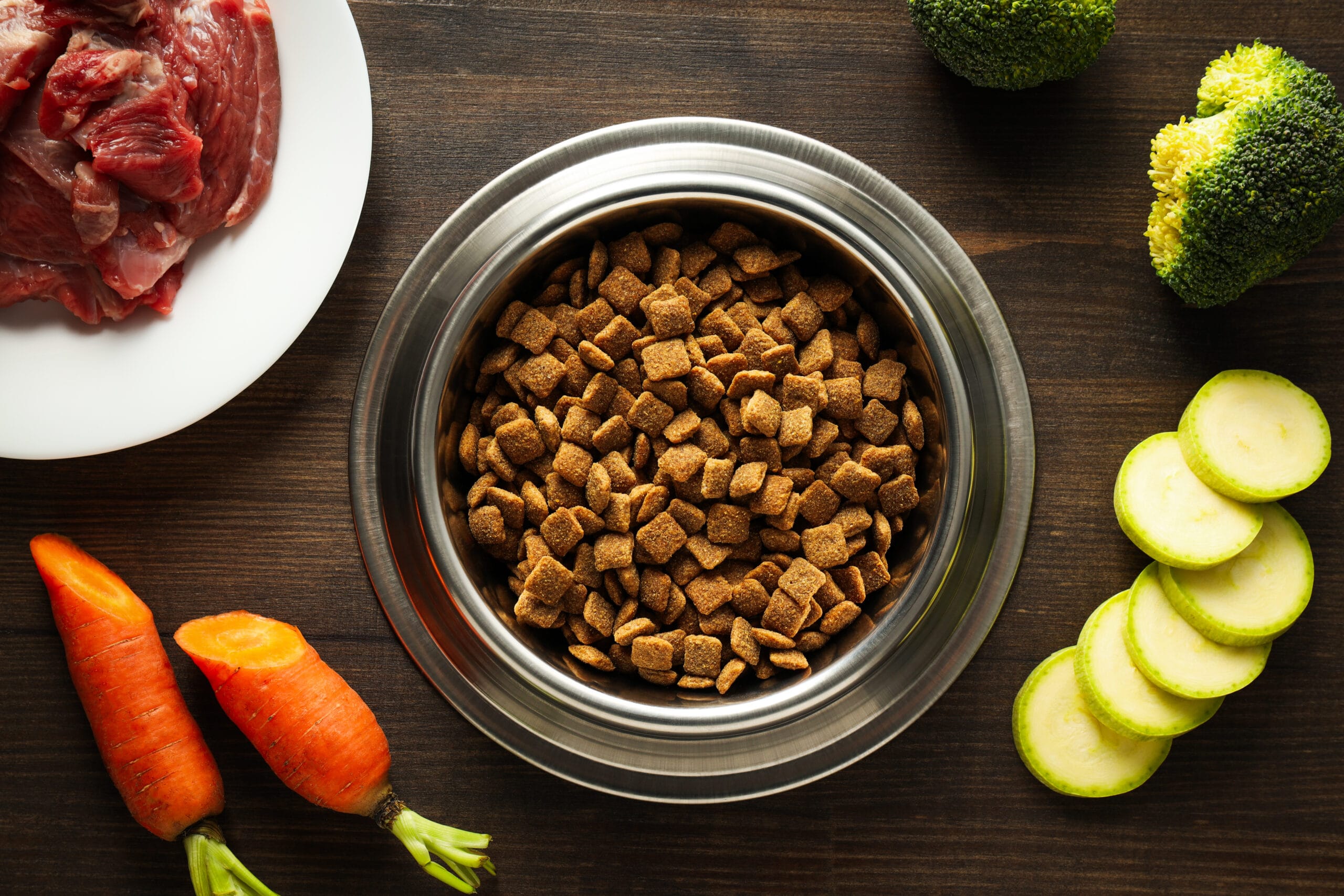 Pet food, concept of healthy food for your pet