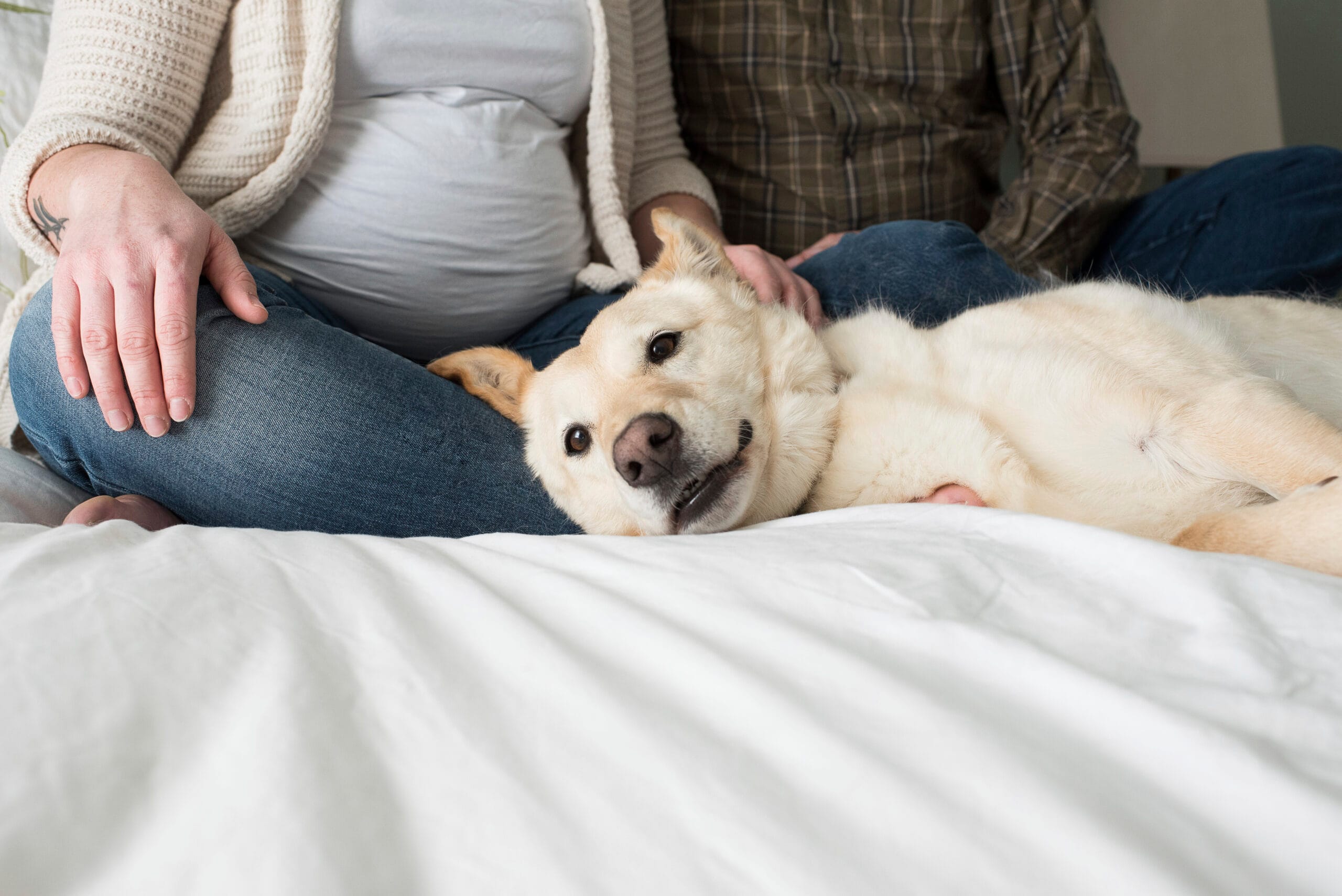 Pregnant woman sitting with partner on bed, dog lying on bed beside them, low section