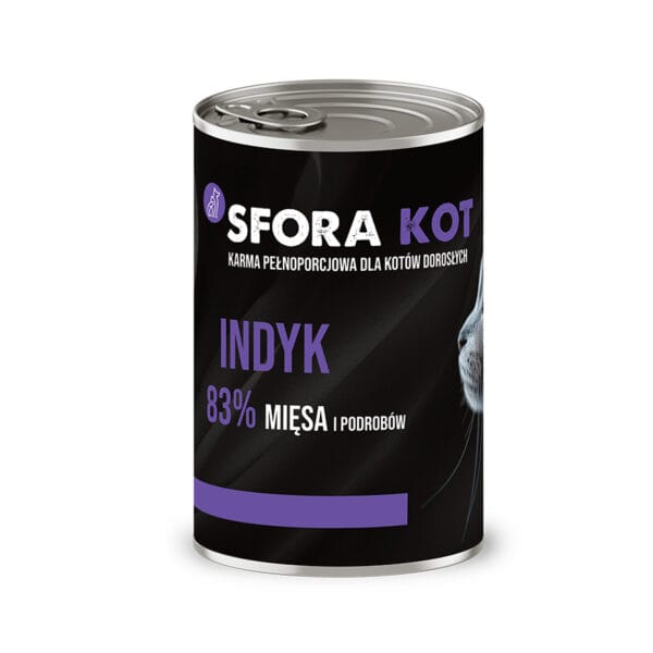 kot sfora indyk 1