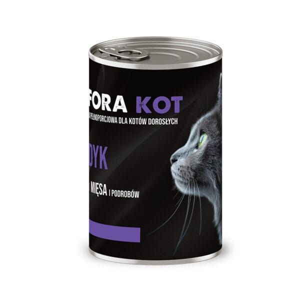 kot sfora indyk 2