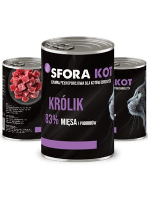 kot sfora krolik multi