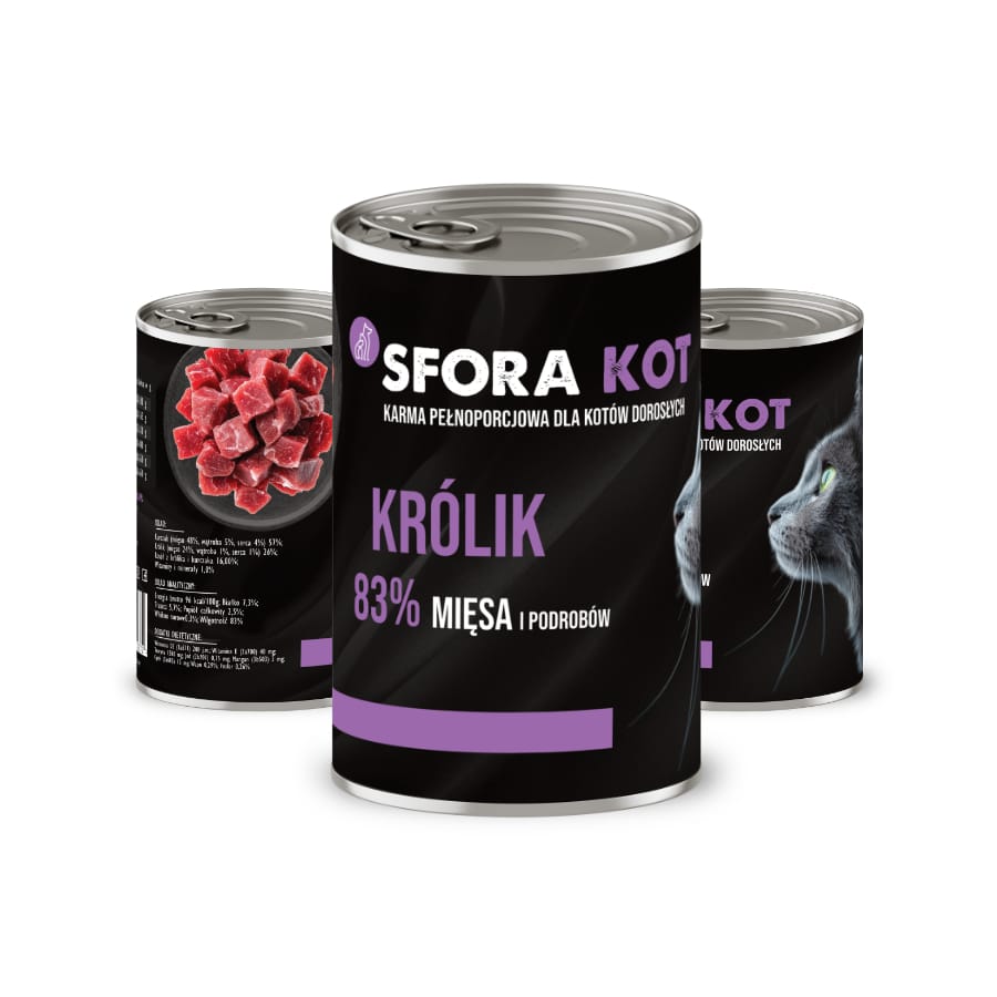 kot sfora krolik multi
