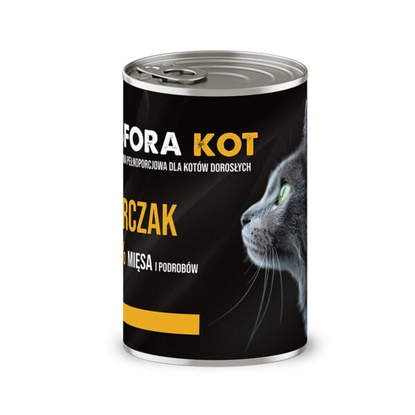 kot sfora kurczak 2 kot sfora kurczak 2